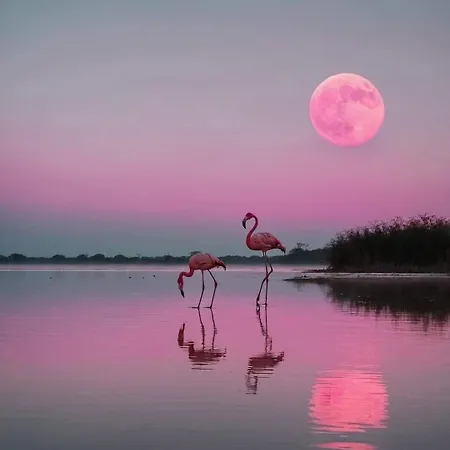 Dom wakacyjny Maison Le Poussin Calvisson